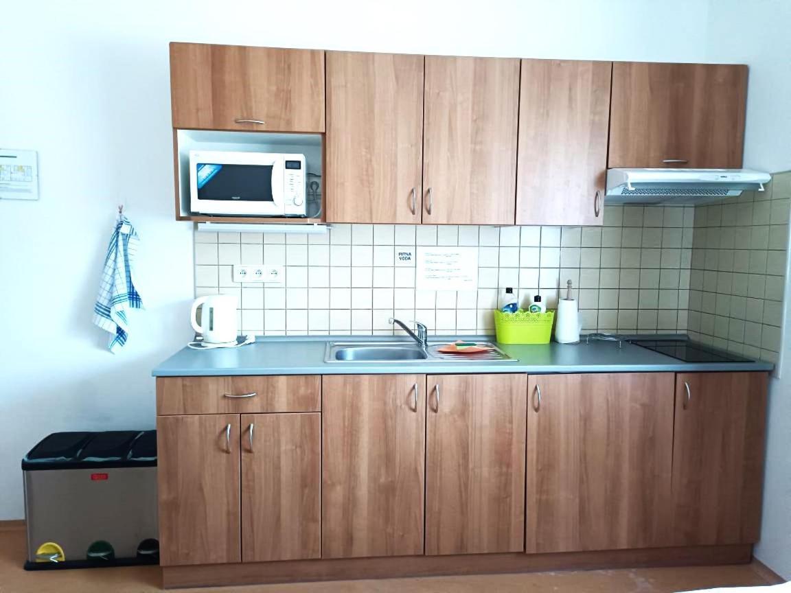 Penzion Jecminek Červená Voda 外观 照片