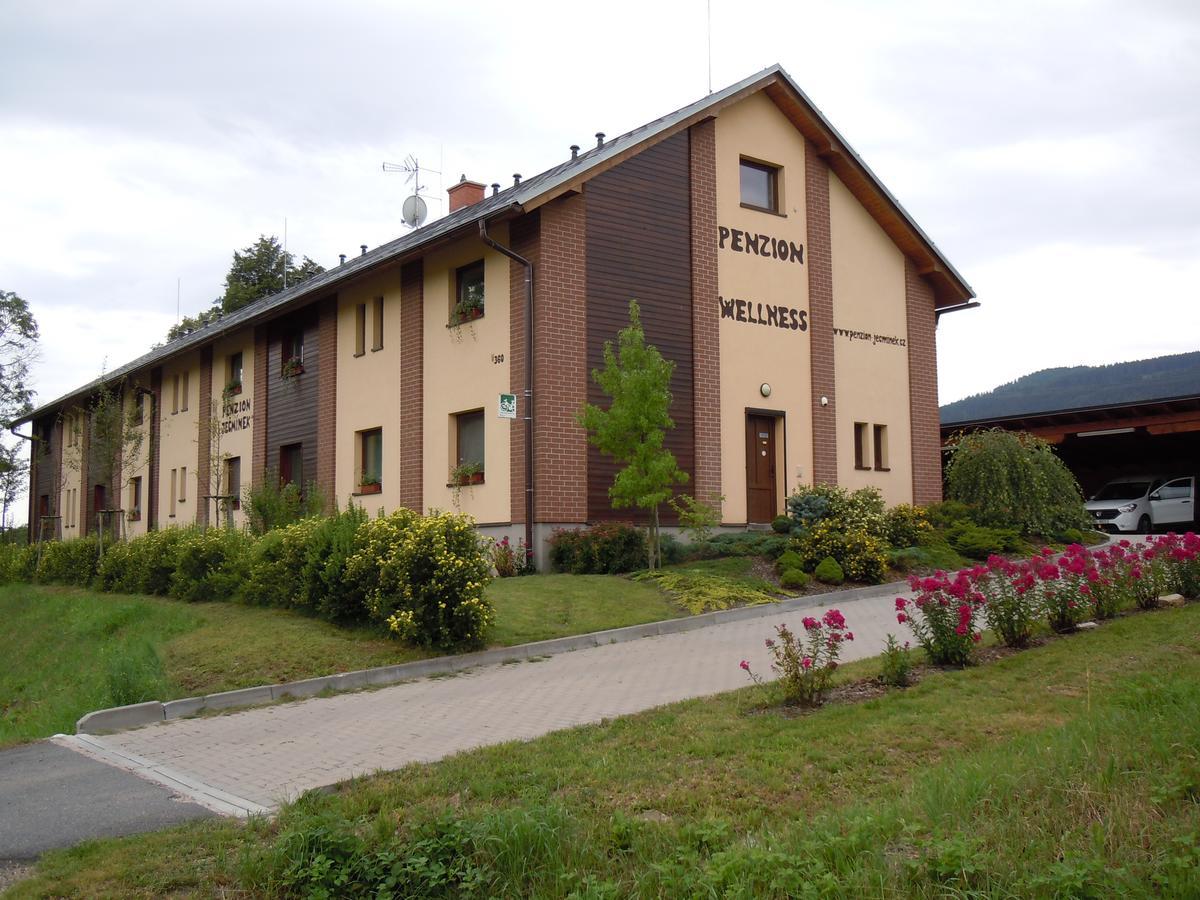 Penzion Jecminek Červená Voda 外观 照片