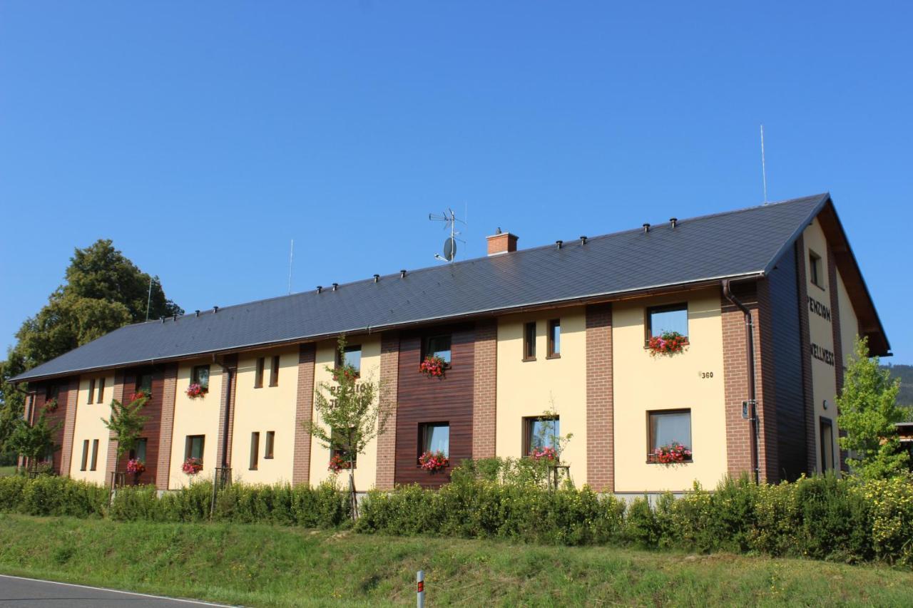 Penzion Jecminek Červená Voda 外观 照片
